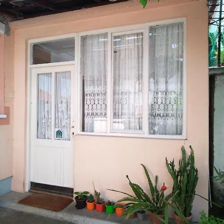 Bubamara Soko Banja